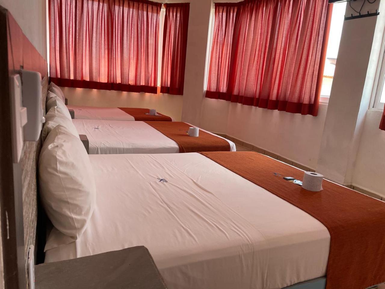 Hotel Albatros